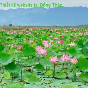 Thiết Kế Website Tại Đồng Tháp Chuẩn SEO Chuyên Nghiệp
