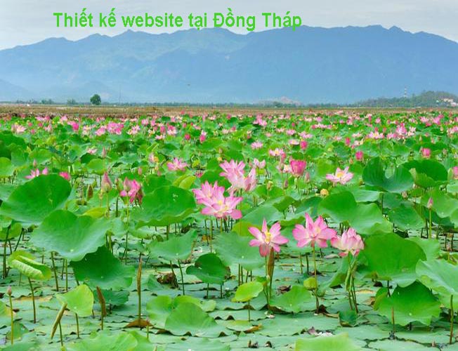 Thiết kế website tại Đồng Tháp chuẩn SEO chuyên nghiệp