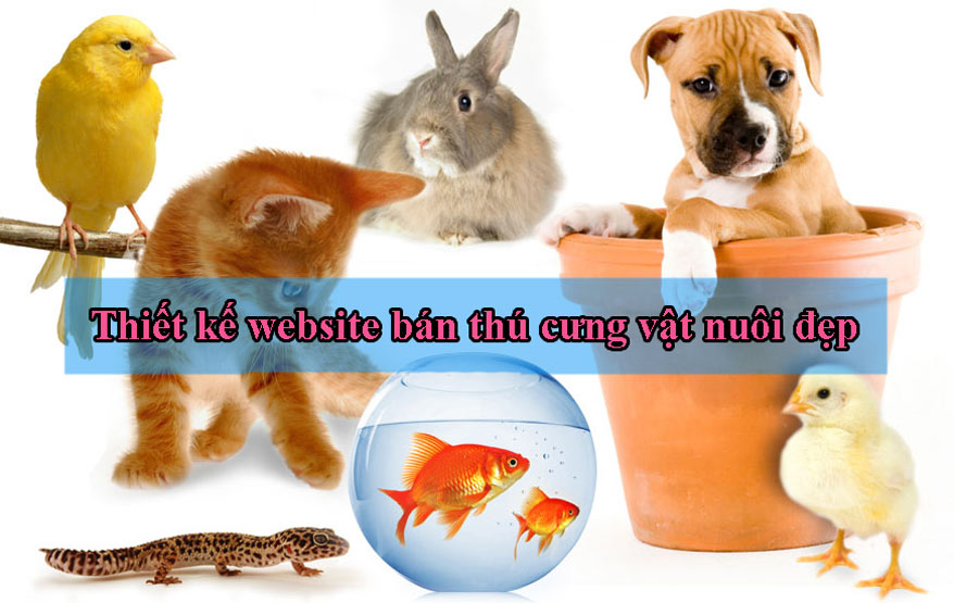 Thiết kế website bán thú cưng vật nuôi đẹp chuyên nghiệp